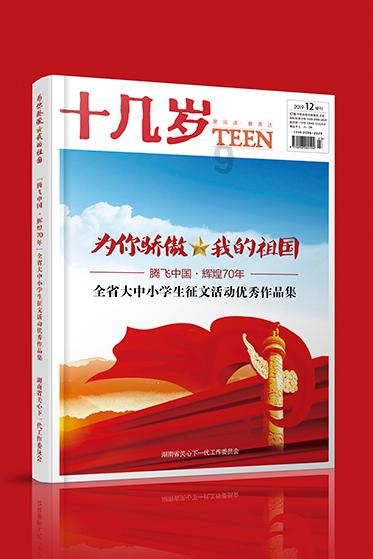 美妙冬季拼图